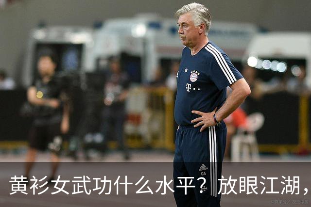 黄衫女武功什么水平？放眼江湖，能胜过她的仅有3人
